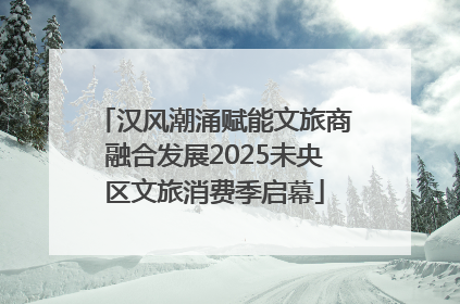 汉风潮涌赋能文旅商融合发展2025未央区文旅消费季启幕