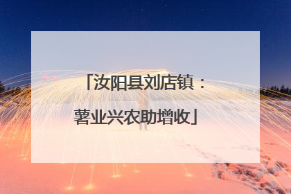 汝阳县刘店镇：薯业兴农助增收