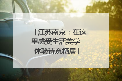 江苏南京：在这里感受生活美学 体验诗意栖居