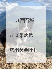 江西石城：走实采烤路 烤出黄金叶