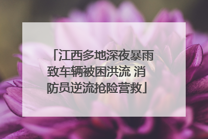 江西多地深夜暴雨致车辆被困洪流 消防员逆流抢险营救