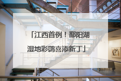 江西首例！鄱阳湖湿地彩鹮喜添新丁