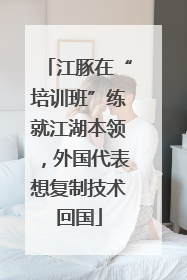 江豚在“培训班”练就江湖本领，外国代表想复制技术回国