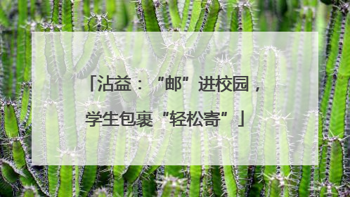 沾益：“邮”进校园，学生包裹“轻松寄”