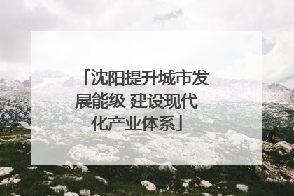 沈阳提升城市发展能级 建设现代化产业体系
