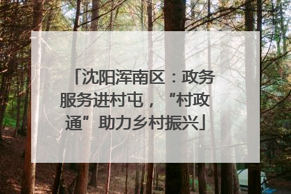 沈阳浑南区：政务服务进村屯，“村政通”助力乡村振兴
