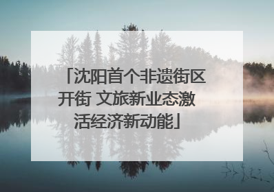 沈阳首个非遗街区开街 文旅新业态激活经济新动能