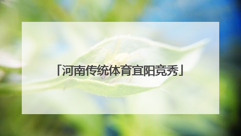 河南传统体育宜阳竞秀