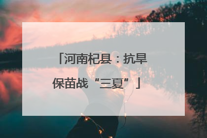 河南杞县：抗旱保苗战“三夏”