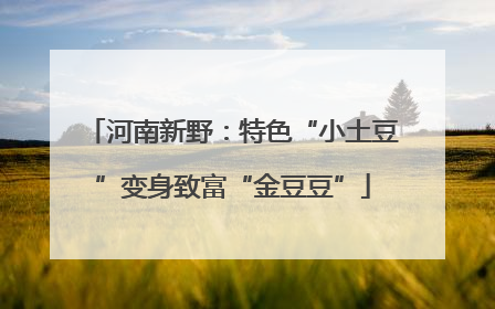 河南新野：特色“小土豆”变身致富“金豆豆”