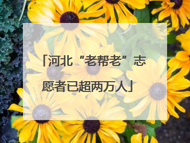 河北“老帮老”志愿者已超两万人