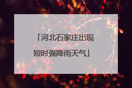 河北石家庄出现短时强降雨天气