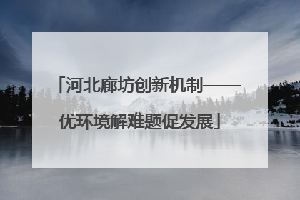 河北廊坊创新机制——优环境解难题促发展