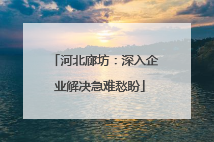 河北廊坊：深入企业解决急难愁盼