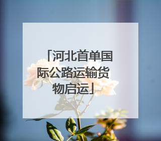河北首单国际公路运输货物启运