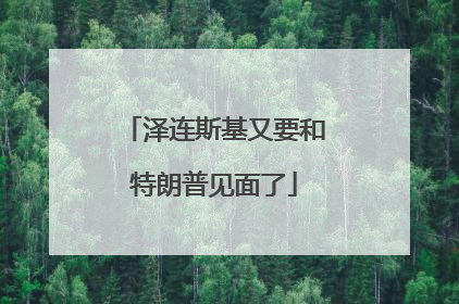 泽连斯基又要和特朗普见面了