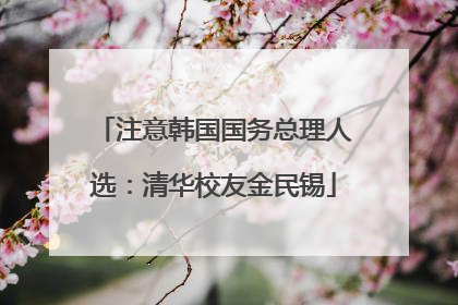注意韩国国务总理人选：清华校友金民锡