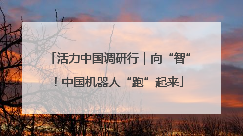 活力中国调研行｜向“智”！中国机器人“跑”起来