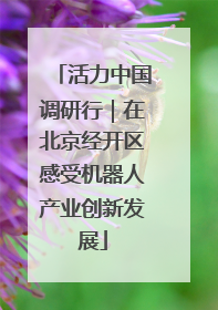 活力中国调研行｜在北京经开区感受机器人产业创新发展