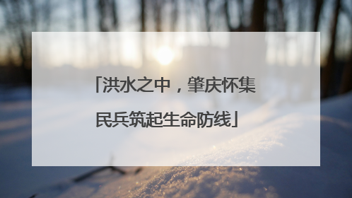洪水之中，肇庆怀集民兵筑起生命防线