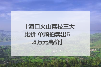 海口火山荔枝王大比拼 单颗拍卖出6.8万元高价
