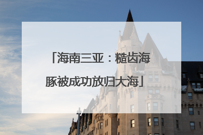 海南三亚：糙齿海豚被成功放归大海