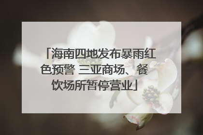海南四地发布暴雨红色预警 三亚商场、餐饮场所暂停营业