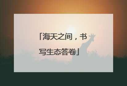 海天之间，书写生态答卷