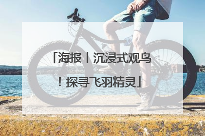 海报丨沉浸式观鸟！探寻飞羽精灵