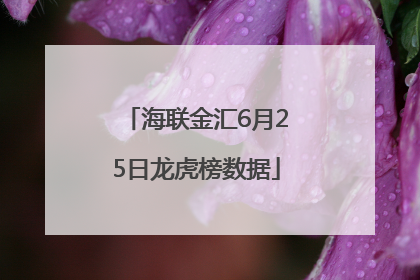 海联金汇6月25日龙虎榜数据