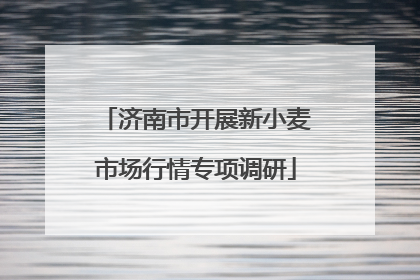 济南市开展新小麦市场行情专项调研
