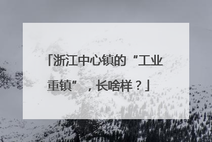 浙江中心镇的“工业重镇”，长啥样？