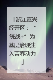 浙江嘉兴经开区：“统战+”为基层治理注入青春动力