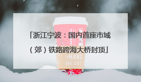 浙江宁波：国内首座市域（郊）铁路跨海大桥封顶