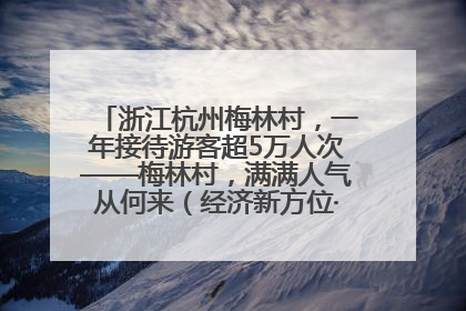 浙江杭州梅林村，一年接待游客超5万人次——梅林村，满满人气从何来（经济新方位·农村消费观察）