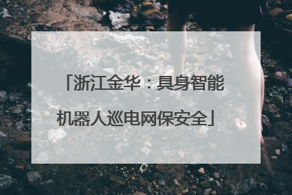 浙江金华：具身智能机器人巡电网保安全