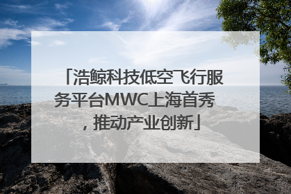 浩鲸科技低空飞行服务平台MWC上海首秀，推动产业创新