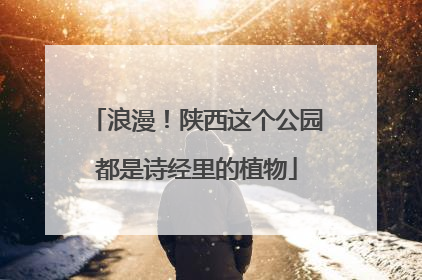 浪漫！陕西这个公园都是诗经里的植物