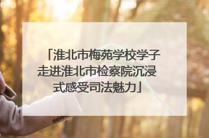 淮北市梅苑学校学子走进淮北市检察院沉浸式感受司法魅力