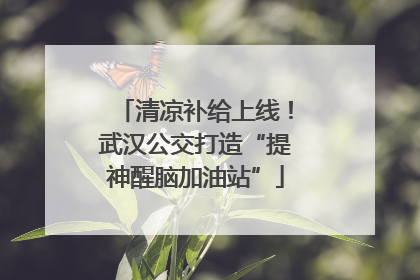 清凉补给上线！武汉公交打造“提神醒脑加油站”