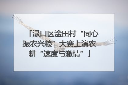 渌口区淦田村“同心振农兴粮”大赛上演农耕“速度与激情”