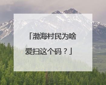 渤海村民为啥爱扫这个码？