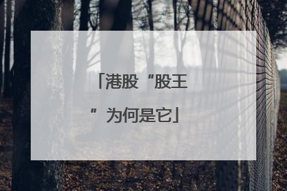 港股“股王”为何是它