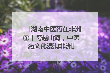 湖南中医药在非洲③｜跨越山海，中医药文化浸润非洲