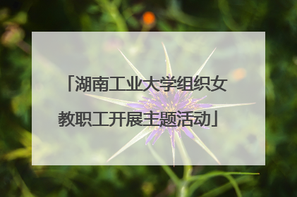 湖南工业大学组织女教职工开展主题活动