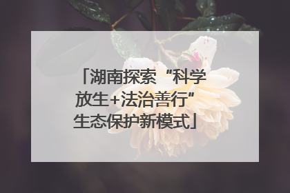 湖南探索“科学放生+法治善行”生态保护新模式