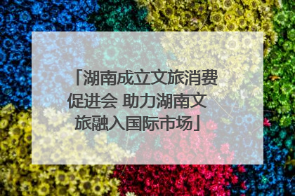 湖南成立文旅消费促进会 助力湖南文旅融入国际市场