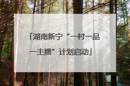 湖南新宁“一村一品一主播”计划启动
