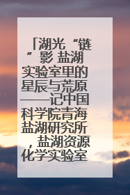 湖光“链”影 盐湖实验室里的星辰与荒原——记中国科学院青海盐湖研究所，盐湖资源化学实验室党总支书记、副主任刘忠