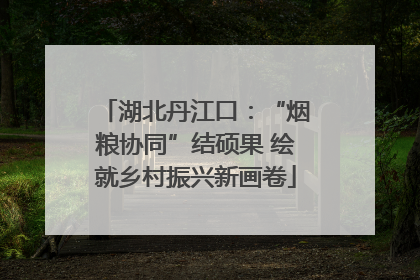 湖北丹江口：“烟粮协同”结硕果 绘就乡村振兴新画卷